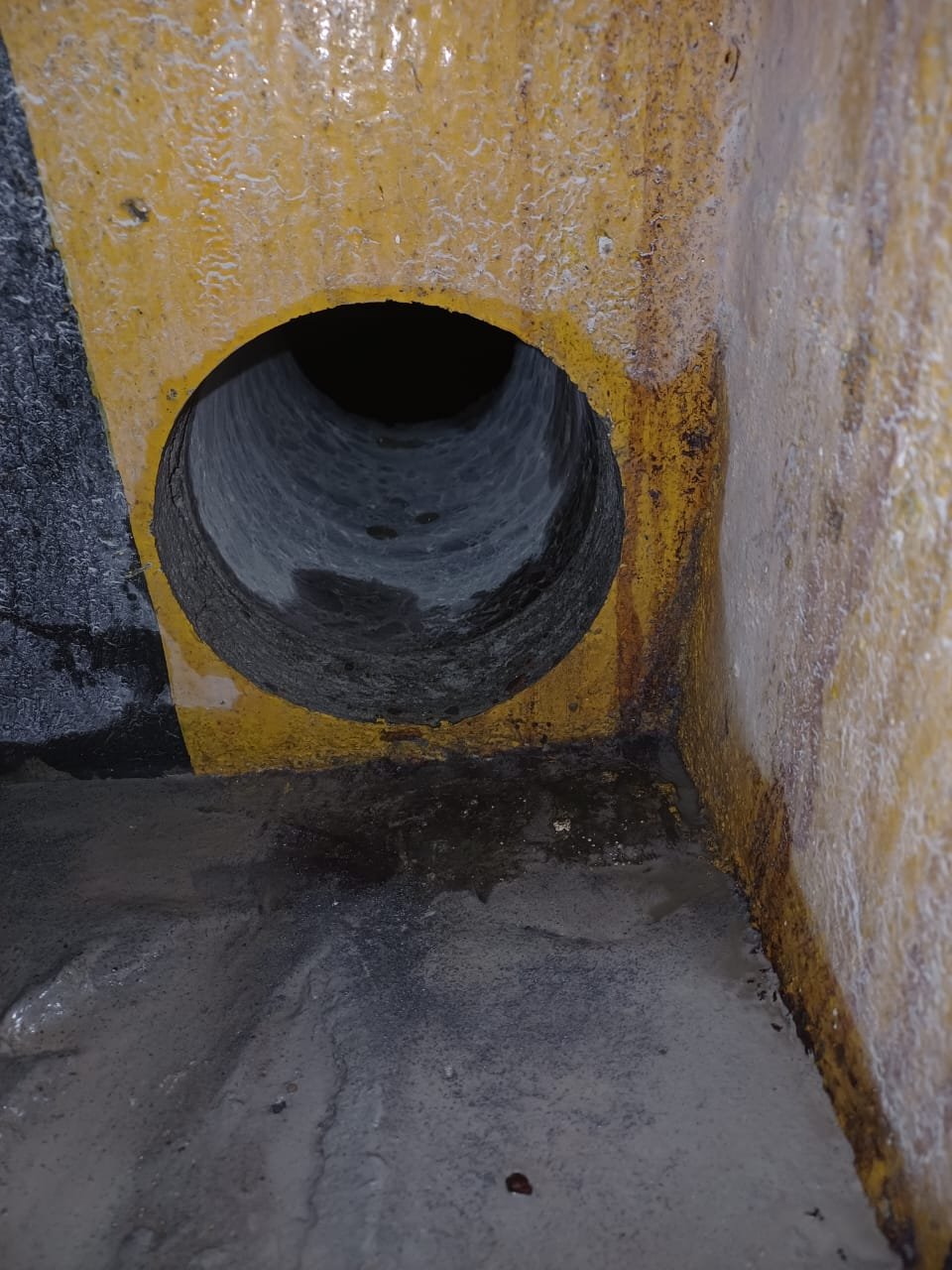 WhatsApp Image 2025-12-23 at 6.40.58 PM